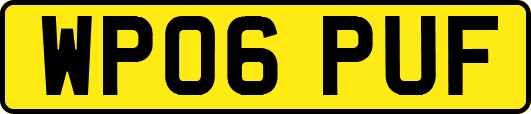 WP06PUF