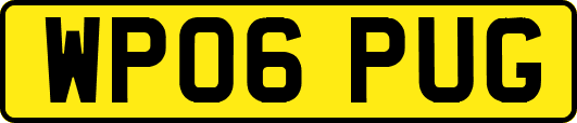 WP06PUG