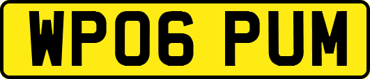 WP06PUM