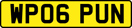 WP06PUN