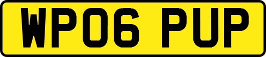 WP06PUP