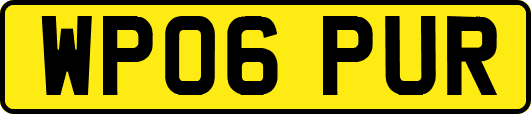 WP06PUR