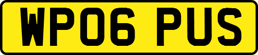 WP06PUS