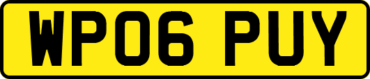WP06PUY