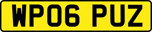 WP06PUZ