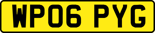 WP06PYG