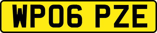 WP06PZE