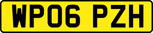 WP06PZH