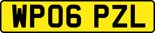 WP06PZL