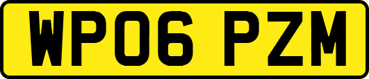 WP06PZM