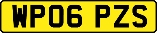 WP06PZS