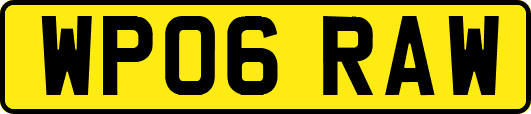 WP06RAW