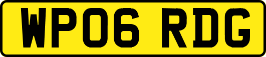 WP06RDG