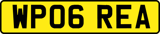 WP06REA
