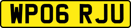 WP06RJU