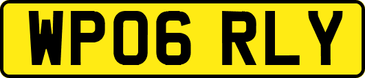 WP06RLY