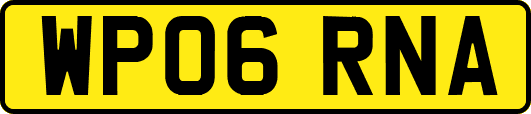 WP06RNA