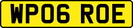 WP06ROE