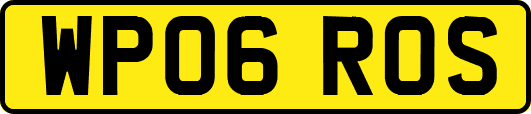 WP06ROS