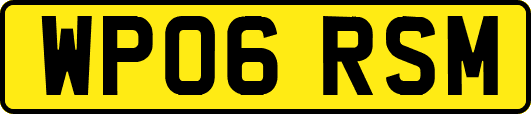 WP06RSM