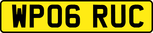 WP06RUC