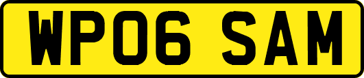 WP06SAM