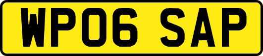 WP06SAP