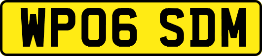 WP06SDM