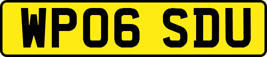 WP06SDU