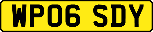 WP06SDY