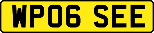 WP06SEE