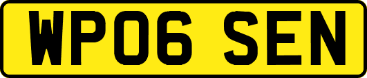 WP06SEN