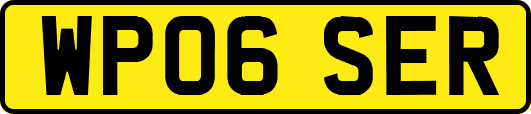WP06SER