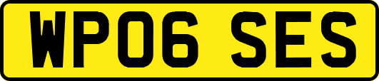 WP06SES