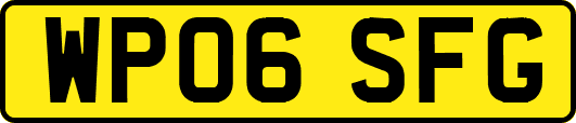 WP06SFG