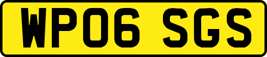 WP06SGS