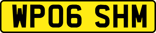 WP06SHM