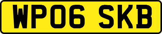 WP06SKB