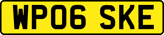 WP06SKE