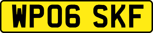 WP06SKF