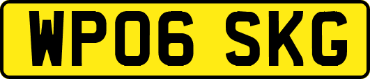 WP06SKG