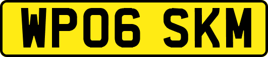 WP06SKM