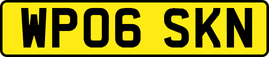 WP06SKN