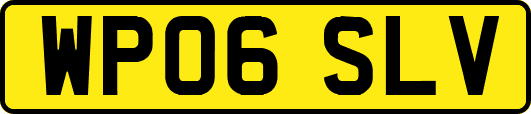 WP06SLV