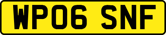 WP06SNF