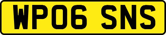 WP06SNS