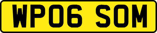 WP06SOM