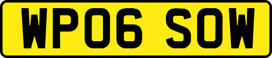 WP06SOW