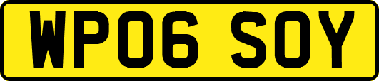 WP06SOY