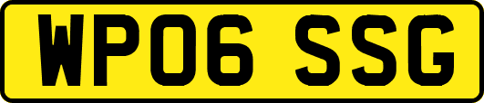 WP06SSG